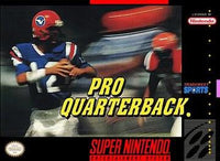 Niagara Falls - Gaming Gators - Pro Quarterback - Video Game - Super Nintendo