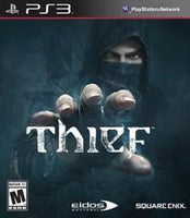 Niagara Falls - Gaming Gators - Thief - Video Game - Playstation 3
