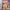 Bratz: The Movie - GameBoy Advance