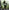 Call of Duty 4 Modern Warfare - Playstation 3