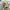 Top Spin 2 - GameBoy Advance