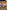 Dukes of Hazzard Return of the General Lee - Xbox