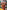 John Elway's Quarterback - NES