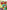 Neopets Puzzle Adventure - Wii