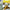 Dogz - GameBoy Advance