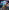 Dead Rising 2 - Playstation 3