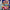 Kirby and the Amazing Mirror - GameBoy Advance