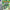 Pokemon Emerald - GameBoy Advance