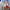 Power Rangers Dino Thunder - GameBoy Advance