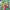 Power Rangers Time Force - GameBoy Advance
