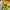 Shrek 2 - GameBoy Advance