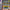 Spy Hunter & Super Sprint - GameBoy Advance