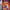 Spyro Orange The Cortex Conspiracy - GameBoy Advance