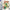 Zelda Minish Cap - GameBoy Advance