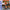 Donkey Kong Land III - GameBoy