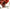 Shin Megami Tensei: Devil Survivor Overclocked - Nintendo 3DS