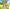 Harvest Moon 3D: The Lost Valley - Nintendo 3DS