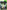 Dragon Age: Inquisition - Xbox 360