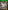 Grand Theft Auto V - Xbox One