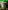 Fallout 4 - Xbox One
