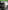 Rainbow Six Siege - Xbox One