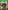 Far Cry Primal - Xbox One