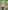 FIFA 17 - Xbox One