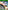 Forza Horizon 3 - Xbox One