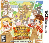 Niagara Falls - Gaming Gators - Story of Seasons: Trio of Towns - Video Game - Nintendo 3DS
