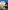 Ghost Recon Wildlands - Playstation 4