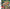Children of Mana - Nintendo DS