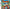 Diddy Kong Racing DS - Nintendo DS