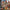 Ape Escape - Playstation