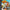 Crash Bash - Playstation