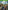 Far Cry 5 - Xbox One