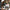 NBA Live 2000 - Playstation