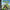 Shrek Treasure Hunt - Playstation
