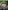 For Honor Marching Fire Edition - Xbox One