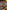 Conker Live and Reloaded - Xbox
