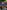 Jurassic Park Operation Genesis - Xbox