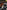Project Snowblind - Xbox