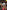 World Poker Tour - Xbox