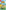 Animal Crossing: New Horizons - Nintendo Switch