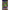 Lemmings - PSP