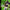 NFL 2K1 - Sega Dreamcast