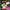 South Park Chef's Luv Shack - Playstation