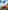 Forza Horizon 5 - Xbox Series X